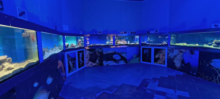 museo del mare centro sub alto tirreno